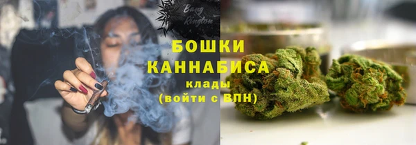 каннабис Богданович